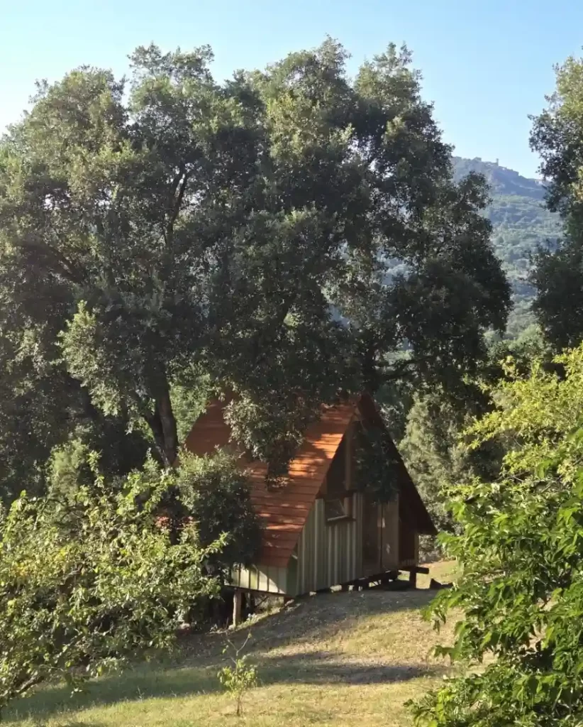 casa sull'albero in maremma toscana all'agriturismo pereti