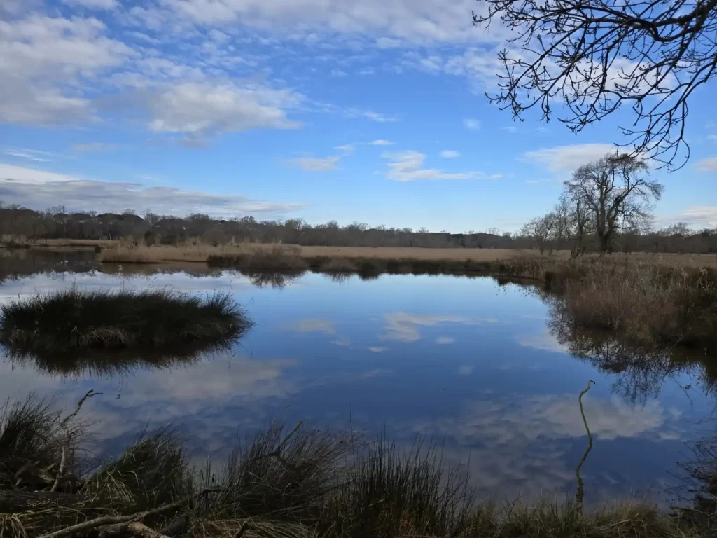 Riserva del Paduletto al parco di San Rossore a Pisa