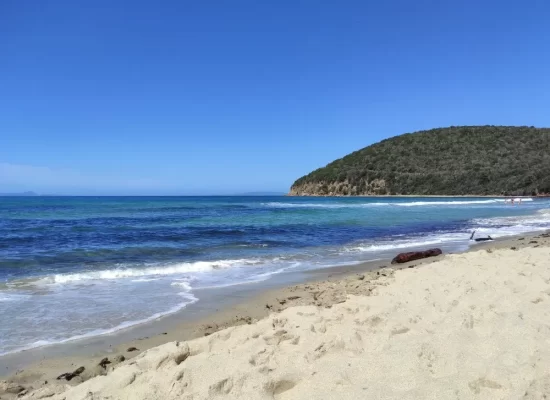 Cala Violina, una delle spiagge più belle in Toscana