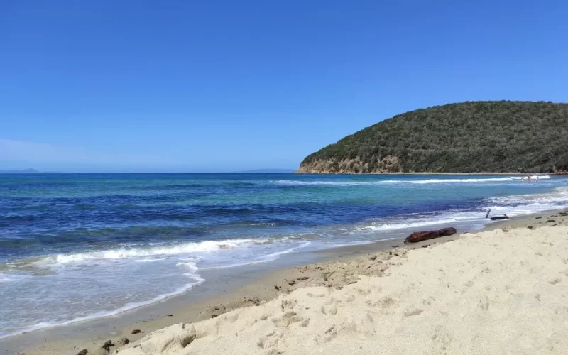 Cala Violina, una delle spiagge più belle in Toscana